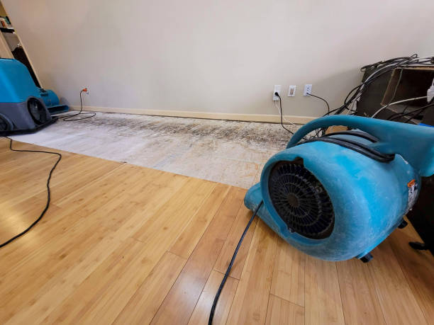 Professional Water Damage Repair technician working in Tripp, SD